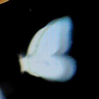 Mother Tongues (@tonguemoms) 's Twitter Profile