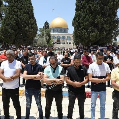 Abdelra44382653's profile picture. love justice