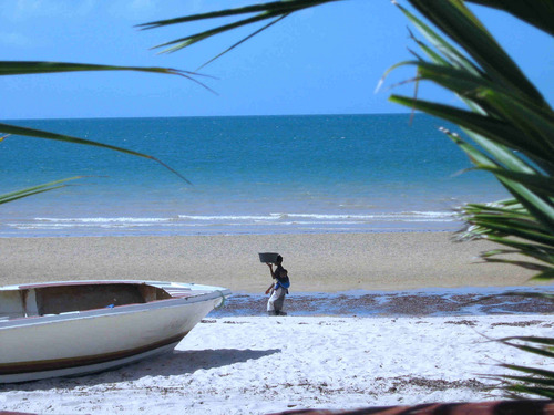 TravelNutsos's profile picture. Ex Paratrooper from Canada...working on the Rigs Overseas.
Exploring the world...one bar at a time...