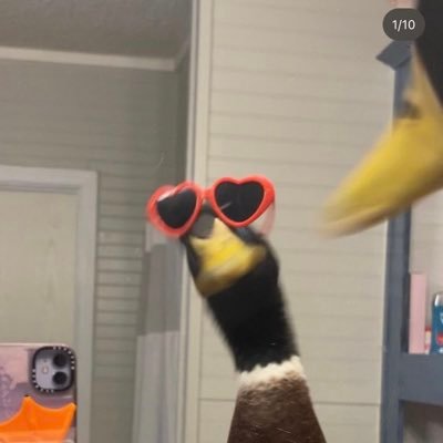 VisillacBelen's profile picture. hola sapo