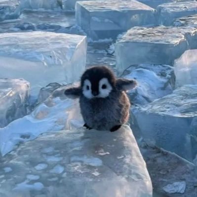 vkffhdld_cb's profile picture. 구독계