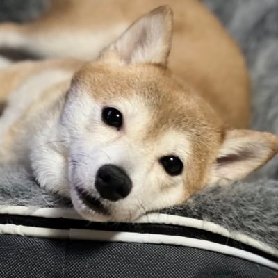 馬場康誌さんのプロフィール画像