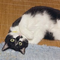 真希 (@_ma____ki__) 's Twitter Profile Photo 真希 (@_ma____ki__) 's Twitter Profile Photo