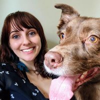 Emily Crompton (@websaasbuilder) 's Twitter Profile