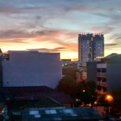 YuliMetaform's profile picture. 