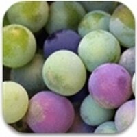 enobytes wine online (@enobytes) 's Twitter Profile Photo enobytes wine online (@enobytes) 's Twitter Profile Photo