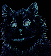 好奇心は猫を殺す C K T C Twitter