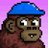 dioolek💚$WOM꧁IP꧂'s Twitter (X) avatar