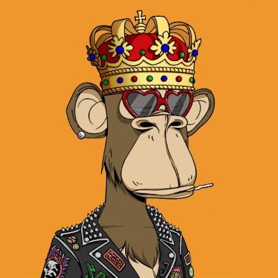 nemati2176's profile picture. nft. trader. seo