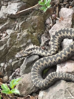 AndbyMonica's profile picture. 