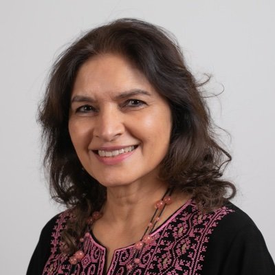 Professor of Social Policy | Royal Holloway University of London | Fellow of the Academy of Social Sciences