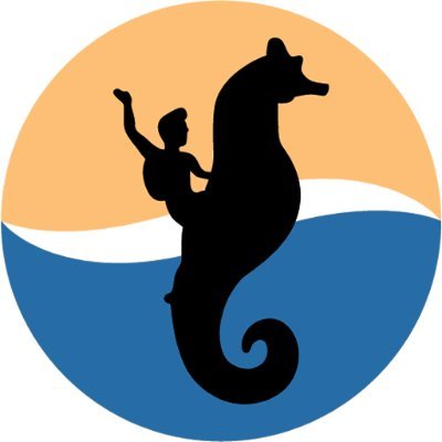 Somos un equipo de información y comunicación sobre el acontecer en Puerto Vallarta y sus alrededores.