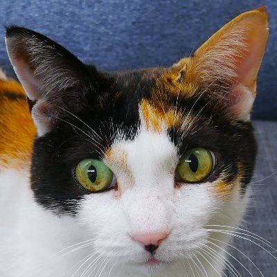 catwalk_hg's profile picture. LGBTQ(T)です
いつかレスポールで動画か配信したいな
B'z大好き
お料理大好きなのでほぼ自炊
美容・コスメ