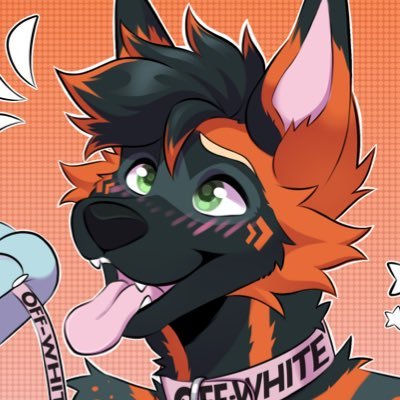 M, 22, Bi. AD of a certain innocent cross fox. NSFW 🔞