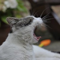 karol (@kar_ol007) 's Twitter Profile Photo karol (@kar_ol007) 's Twitter Profile Photo