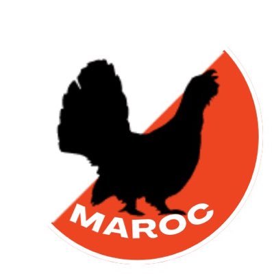 MarOClub Profile Picture