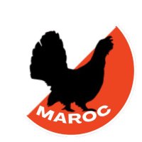 Mar Orienteering (@maroclub) 's Twitter Profile Photo Mar Orienteering (@maroclub) 's Twitter Profile Photo
