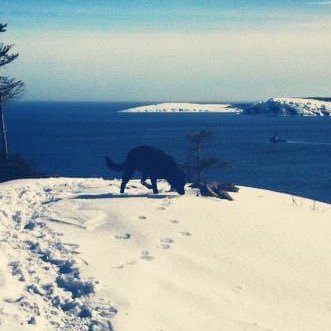 MsEssPea's profile picture. Happiest in the sunshine, walking in the woods with the dog and the husband. What else is there?