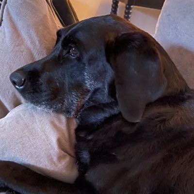 rjarrell76's profile picture. 