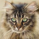 Tina Hopper - @THopper18097 - Twitter