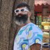 Ajit Bohra (@ajitbohra) Twitter profile photo Ajit Bohra (@ajitbohra) Twitter profile photo