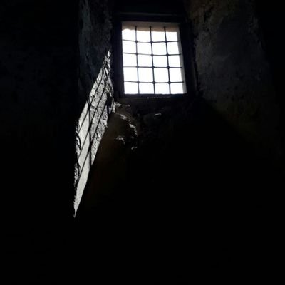 Kayseri13179025's profile picture. 
