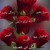 Iftikhar (@iftikha98080049) Twitter profile photo Iftikhar (@iftikha98080049) Twitter profile photo