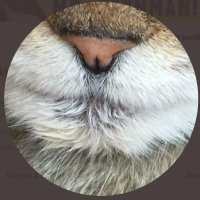 Surely You're Joking... (@howl_sarah) 's Twitter Profile