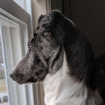 SallyNoMagats's profile picture. signed up to T in 2009? Left but missed the bustle.