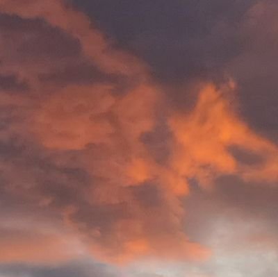 bean_ht's profile picture. 