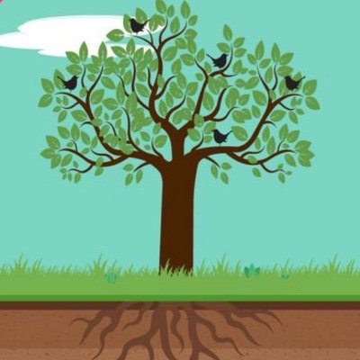 tenzingarden's profile picture. #passsanitaire ⚠️ #QR 
#BigTech is a big problem ⚡️