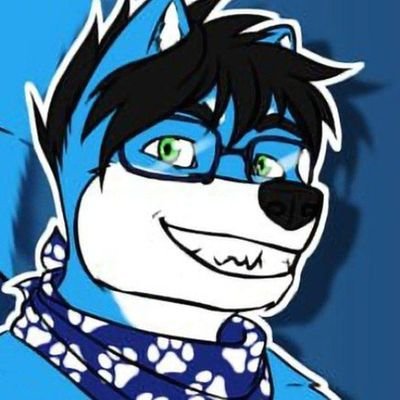 Hiroshi Shibeさんのプロフィール画像