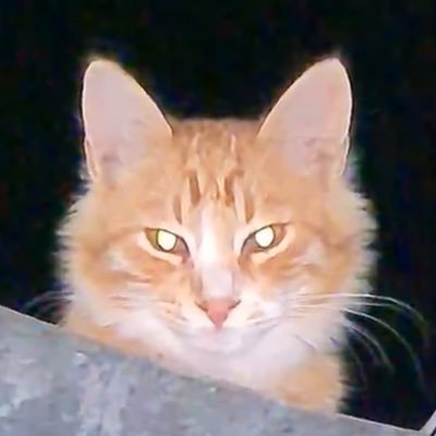 Raafat24874021's profile picture. 2000.7.30 🌻🌵🌿🌌 ♡◇♡◇♡