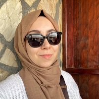 Feyza Akbul(@FeyzAkbul) 's Twitter Profileg