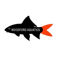 Woodford Aquatics(@WoodfordAquatic) 's Twitter Profile Photo