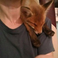 ๐๐๐ฆ๐ฃ๐...๐ฆโ๏ธ (@laura_simoe) 's Twitter Profile