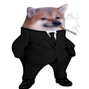 Antifriz8's profile picture. 