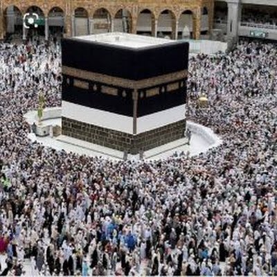 darwinbox4's profile picture. 