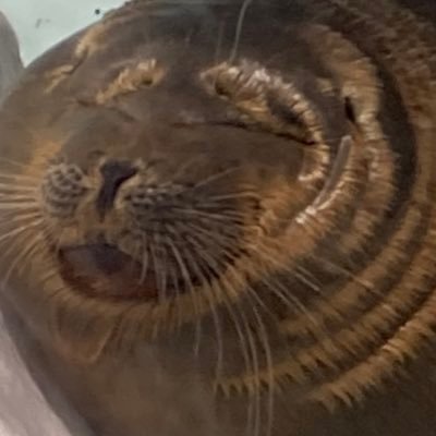んばしさんのプロフィール画像