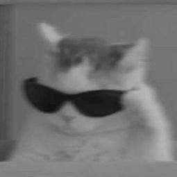 ayk24211's profile picture. 