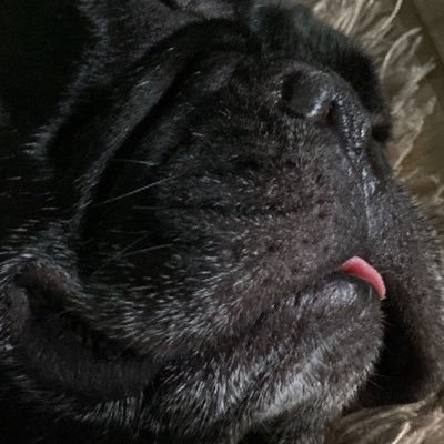 ariheroi's profile picture. é o que que tá acontecendo aqui?