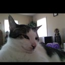 Jack Katz - @jacked5678 - Twitter