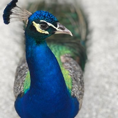 jenjenjen2023's profile picture. 