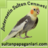 SPapaganlar's profile image