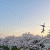 み (@cmhb8c) 's Twitter Profile