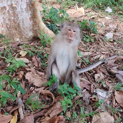 Queb pur laine, pu capable du dôme. Parti en espérant ne pas revenir. Vivez vos rêves car personne ne le fera pour vous!