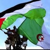 #palestinealgerie 🇵🇸🇩🇿
Votre haine est notre fierté