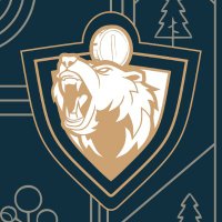 Guild logo