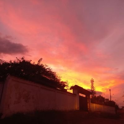 HORCAUCA Profile Picture