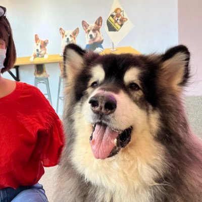 jing886688's profile picture. Focus on wonderful world of pet. More interesting pet vedios，please find in Youtube：https://t.co/iDMw7QBpIK